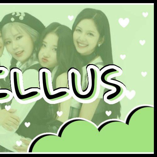 Lapillus的最新照片