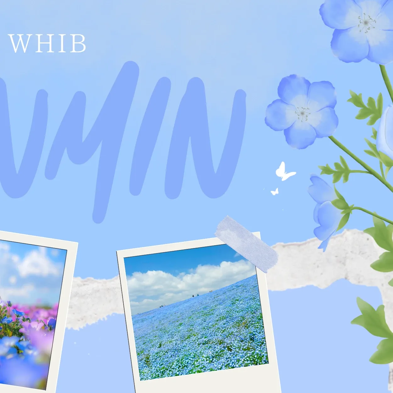 A moment captured by Kim Junmin (WHIB)'s fan