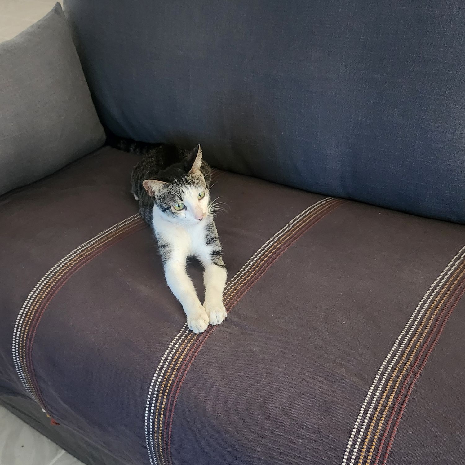 A moment captured by SEVENTEEN's fan