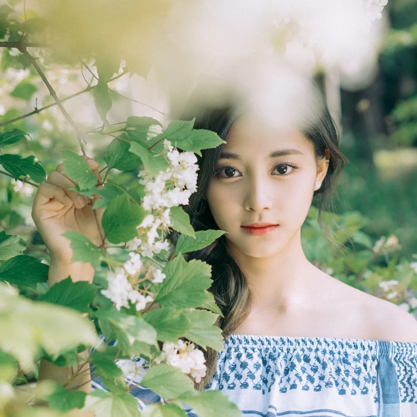 Latest photo of Tzuyu (TWICE)