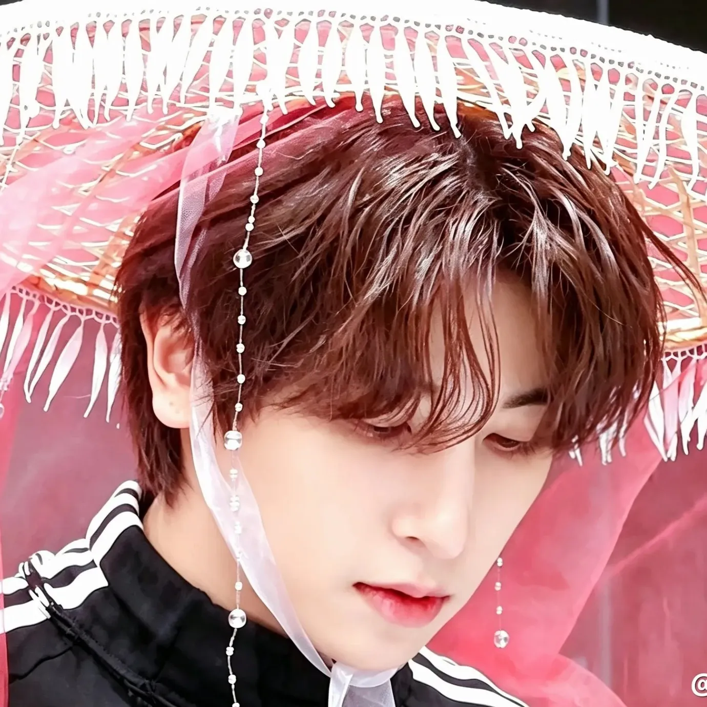 Behind-the-scenes cut of Hangyul (POLARIX)