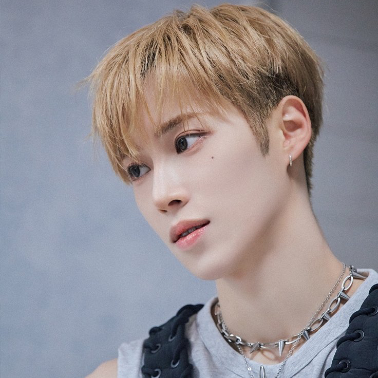 아르노 (알파드라이브원) 팬이 찍은 순간