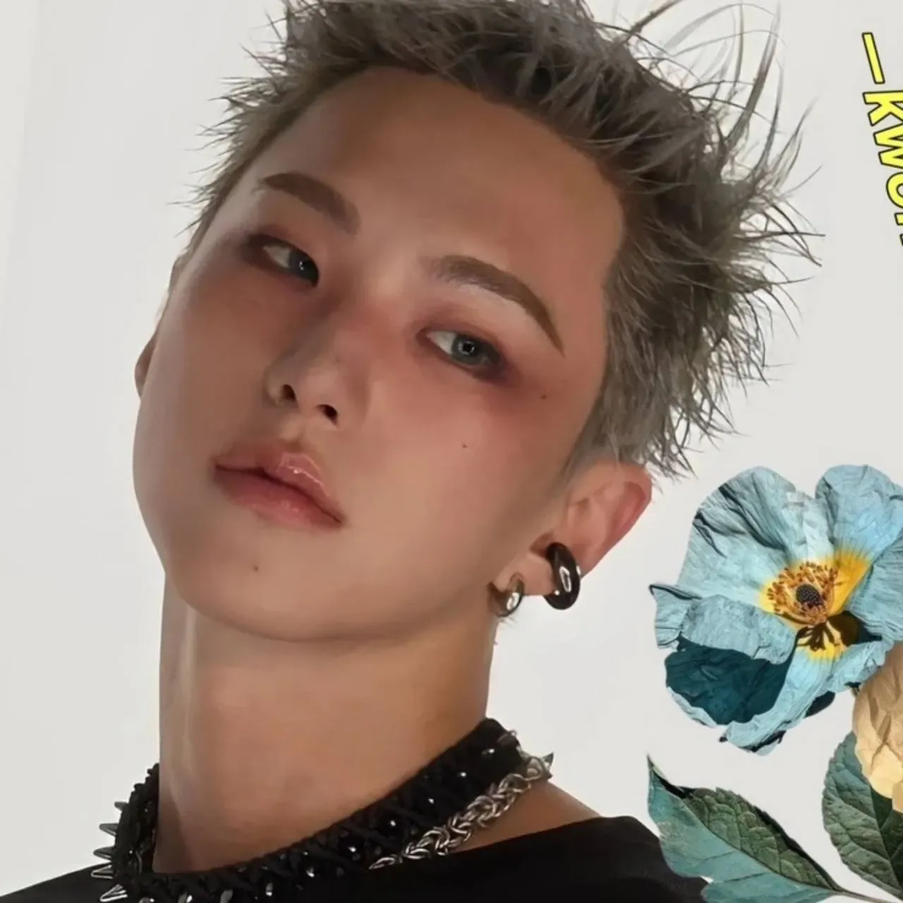 A moment captured by Hoshi (SEVENTEEN)'s fan