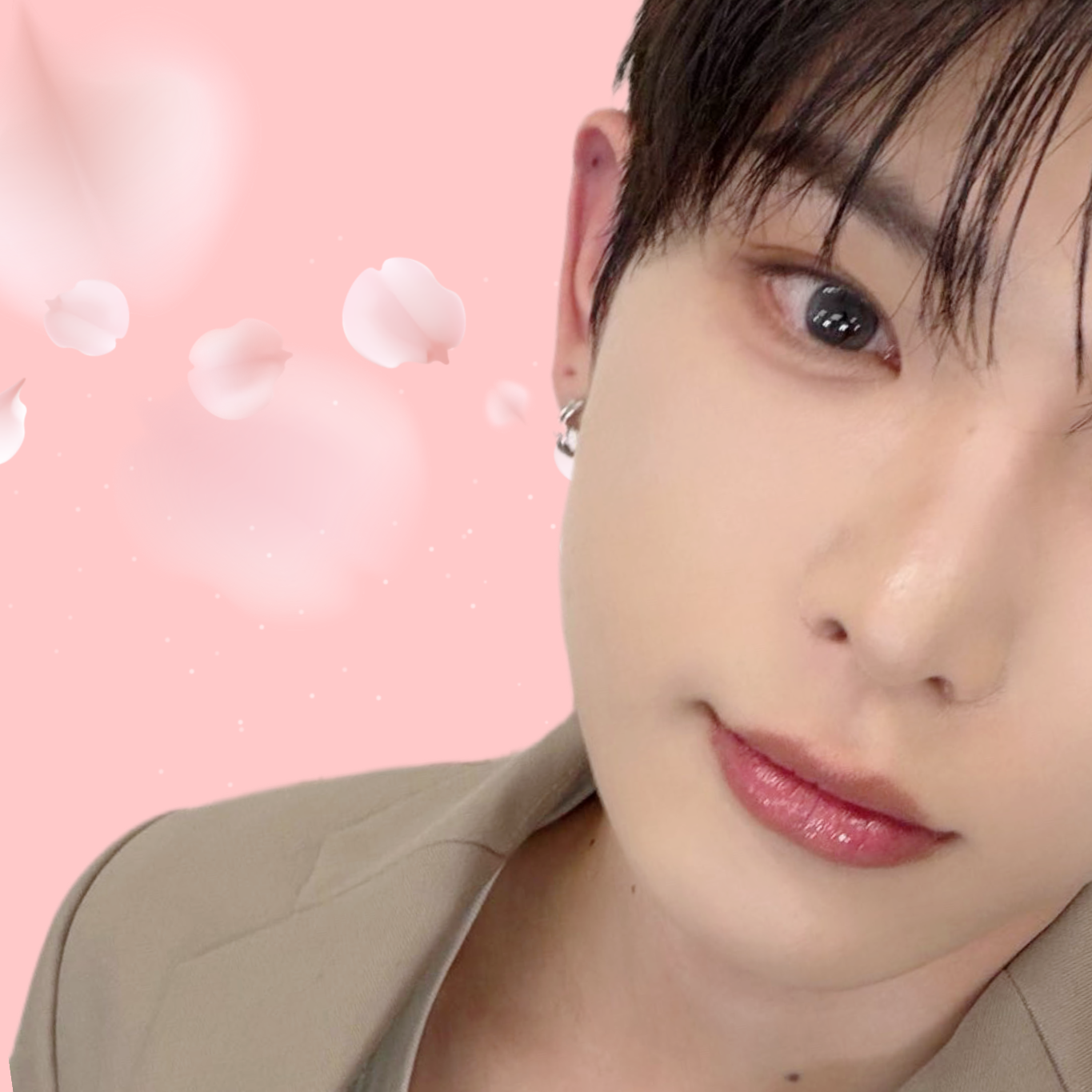 ファンに愛されるK-POPの人気投稿