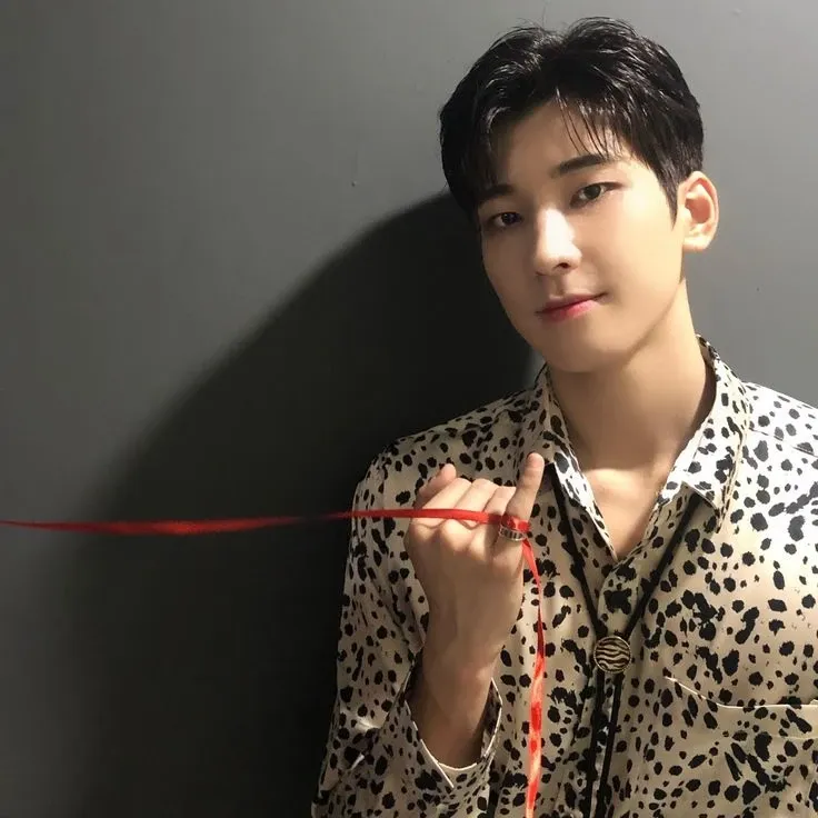 원우 (세븐틴)의 비하인드 컷