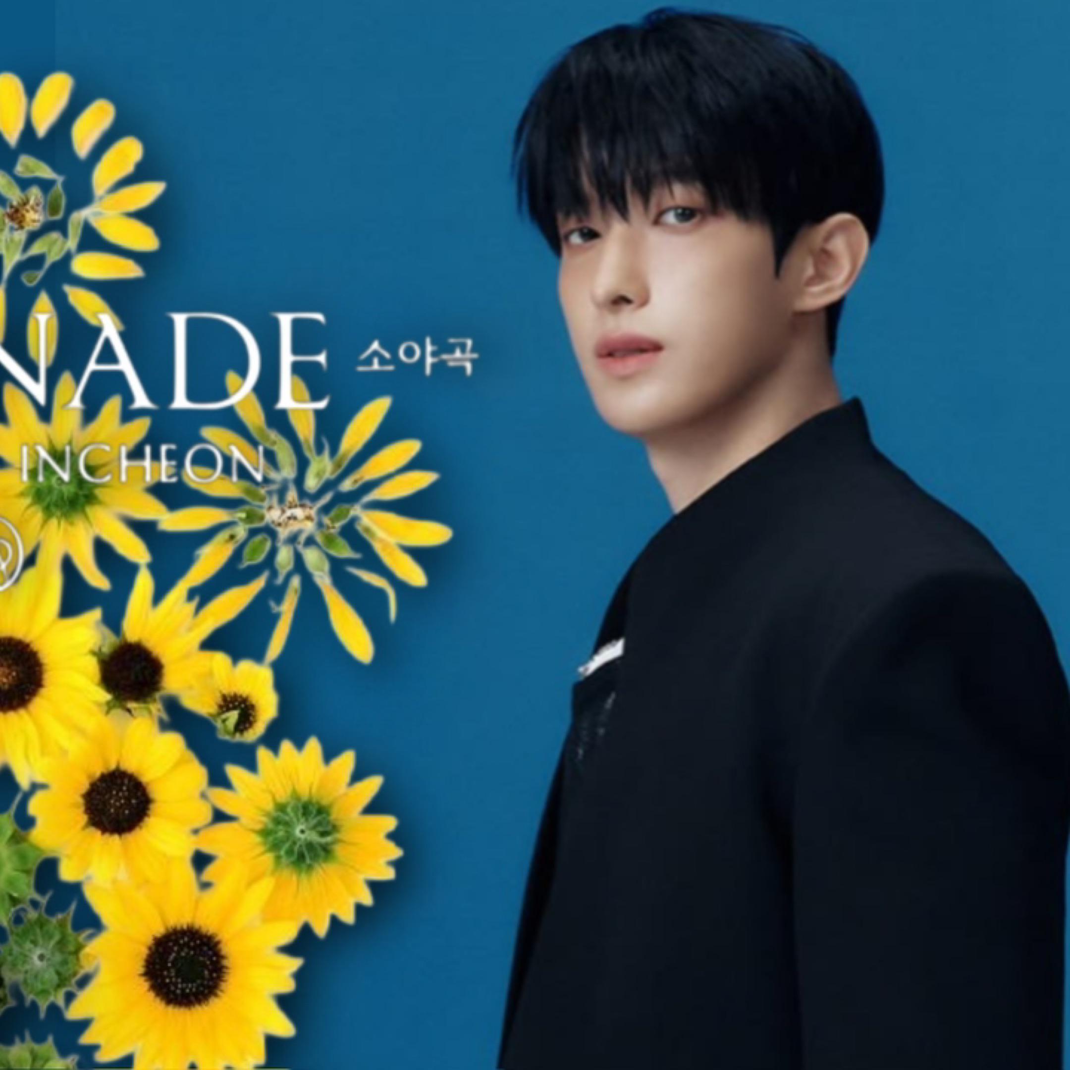 K-POP posts beloved by 도겸 (세븐틴) fans