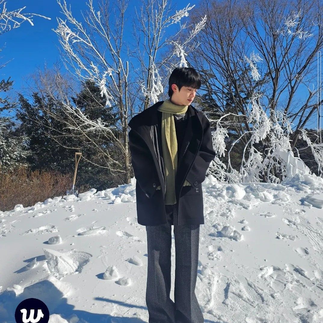 Momen yang diabadikan oleh penggemar Jin (BTS)