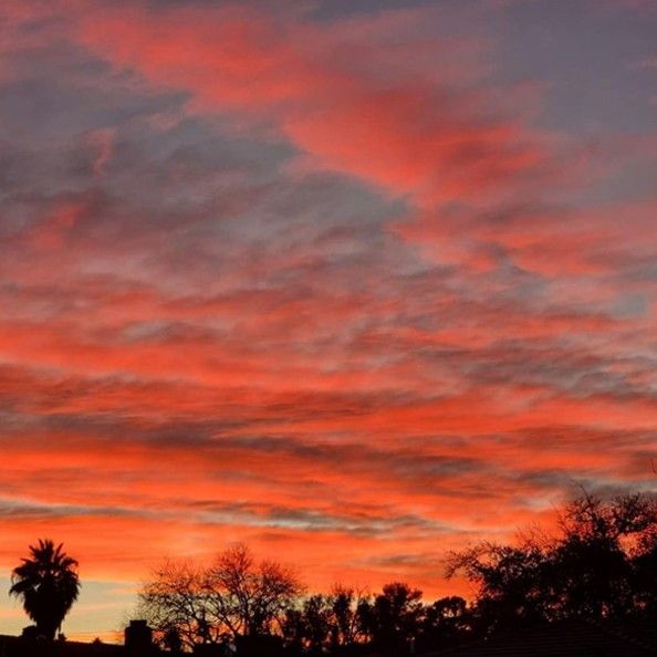 SUGA (防彈少年團)的最新照片