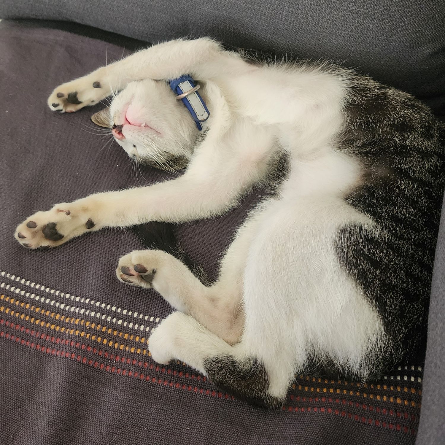 Momen yang diabadikan oleh penggemar SEVENTEEN