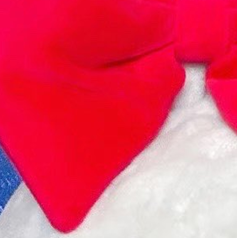 Recent activity shot of Choerry (ARTMS)