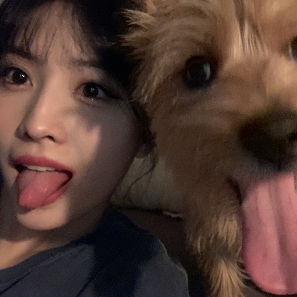 Momo (TWICE)粉絲拍下的瞬間