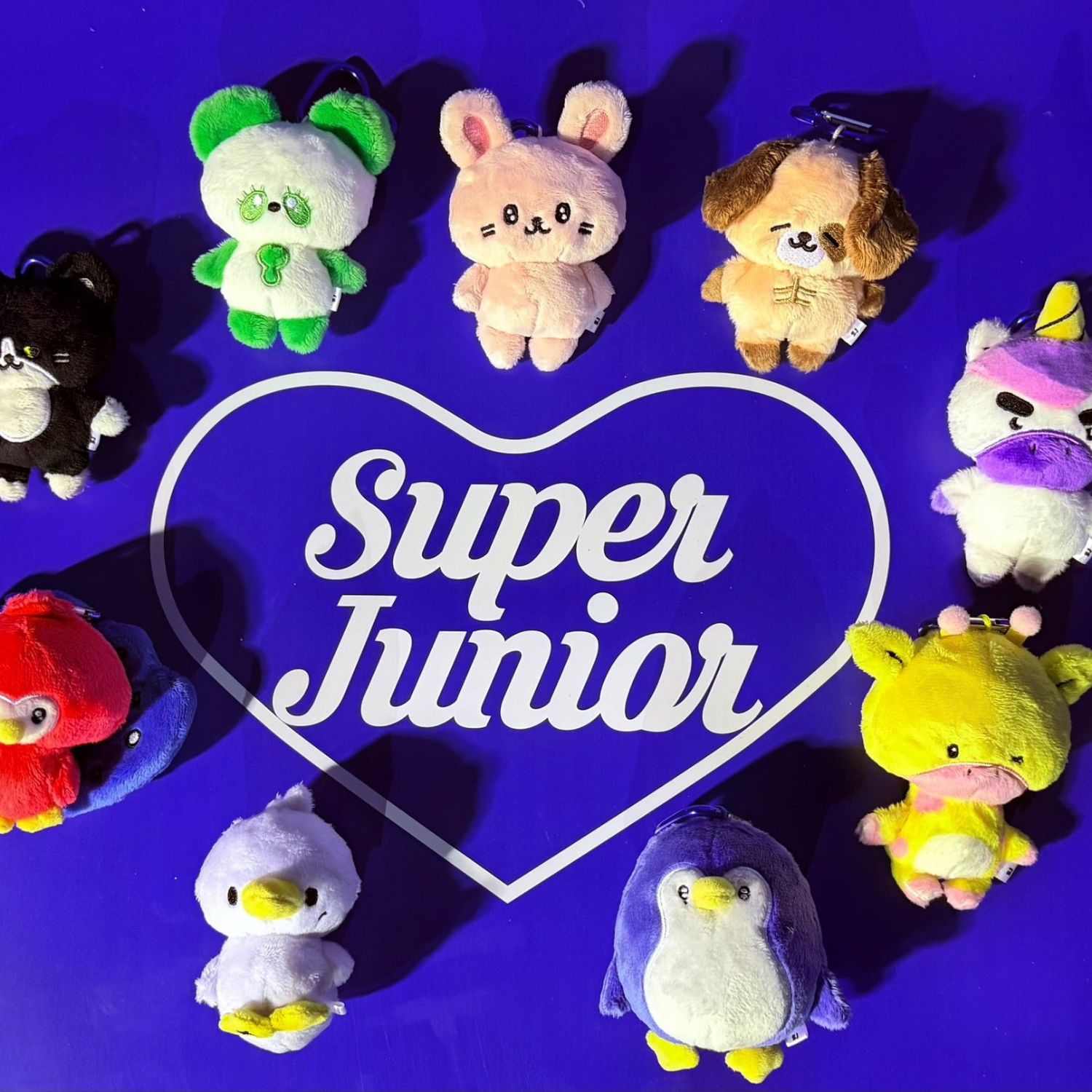 Recent activity shot of Super Junior