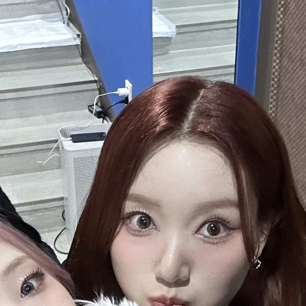 Recent activity shot of Loossemble