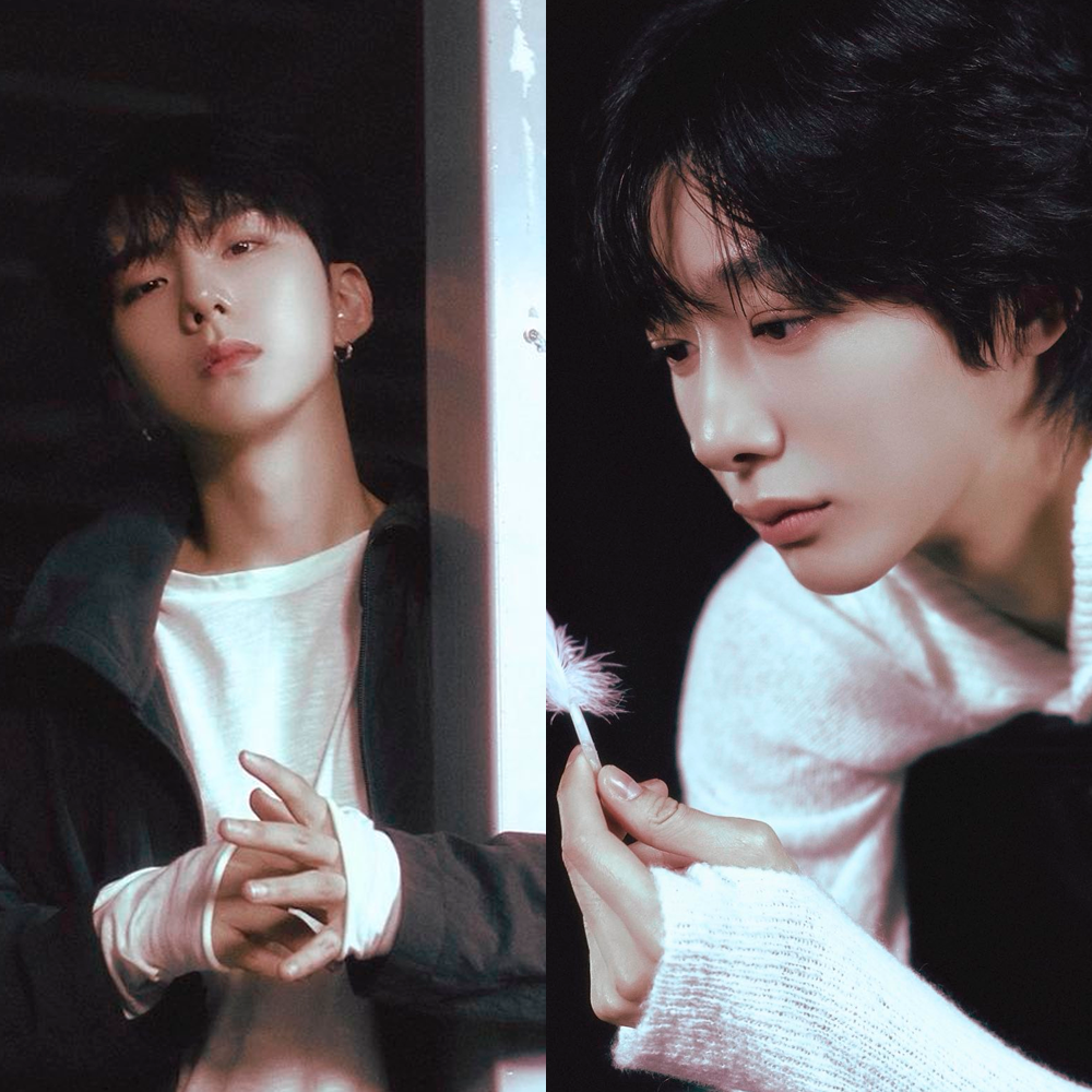 오늘 가장 핫한 케이팝 커뮤니티 피드