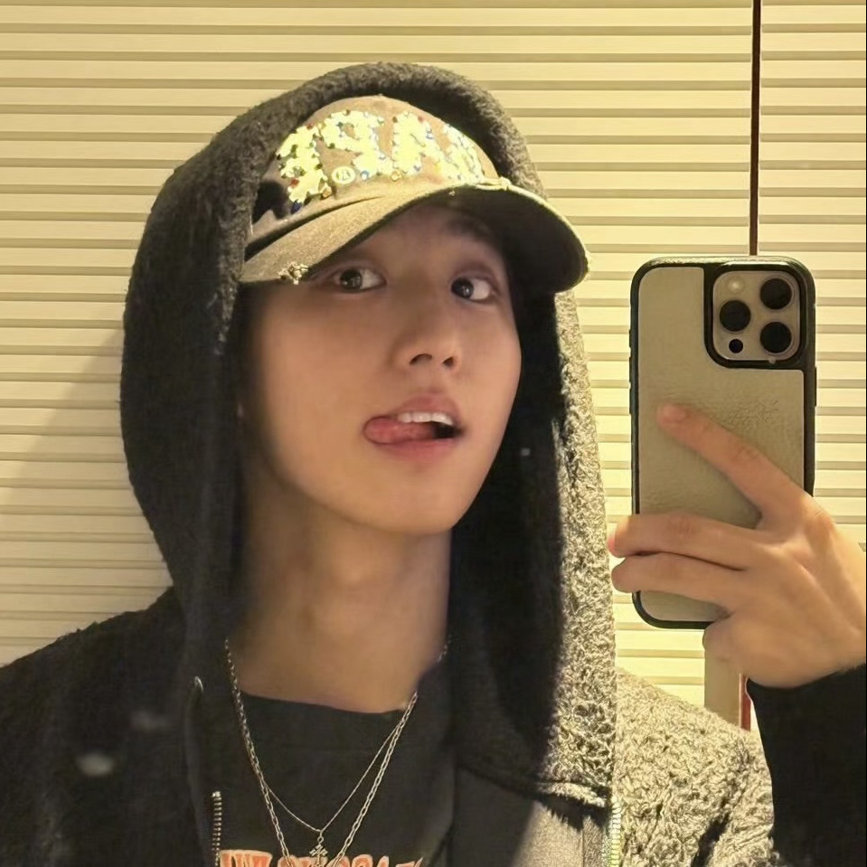 Recent activity shot of HAN (Stray Kids)