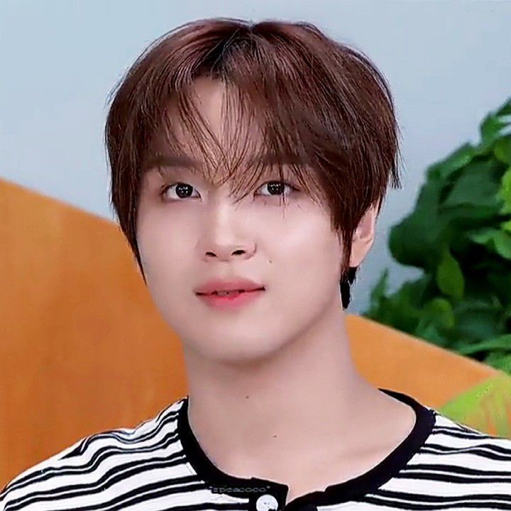 A moment captured by Haechan (NCT 127, NCT DREAM)'s fan