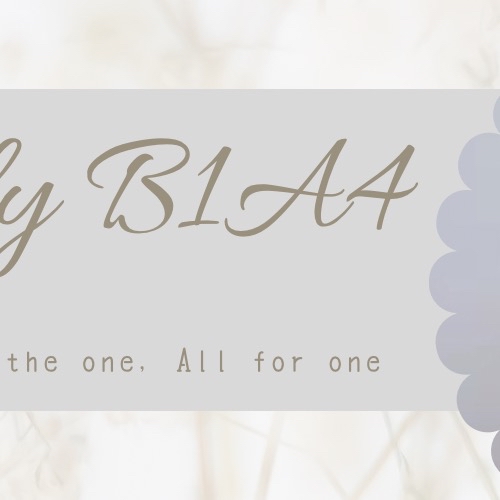 Recent activity shot of B1A4