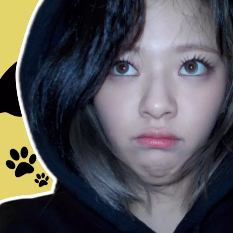 A moment captured by Jeongyeon (TWICE)'s fan