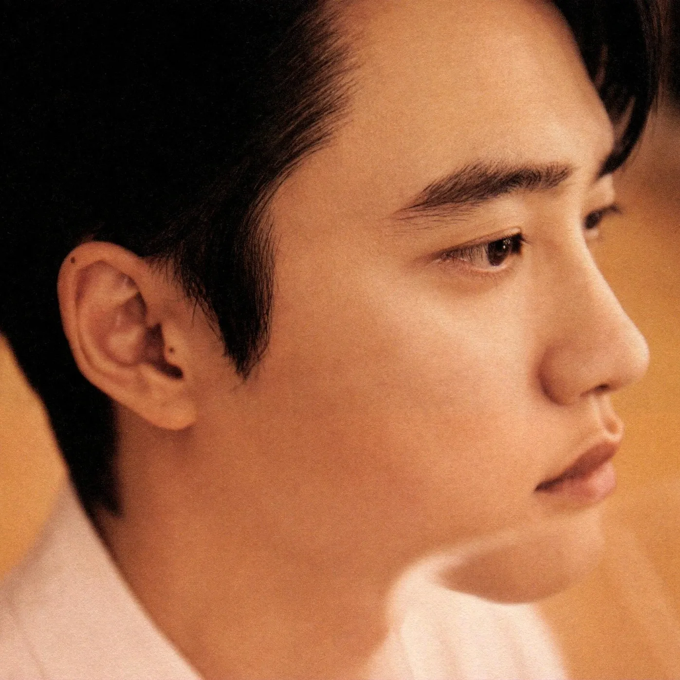 디오 (EXO) 팬이 찍은 순간