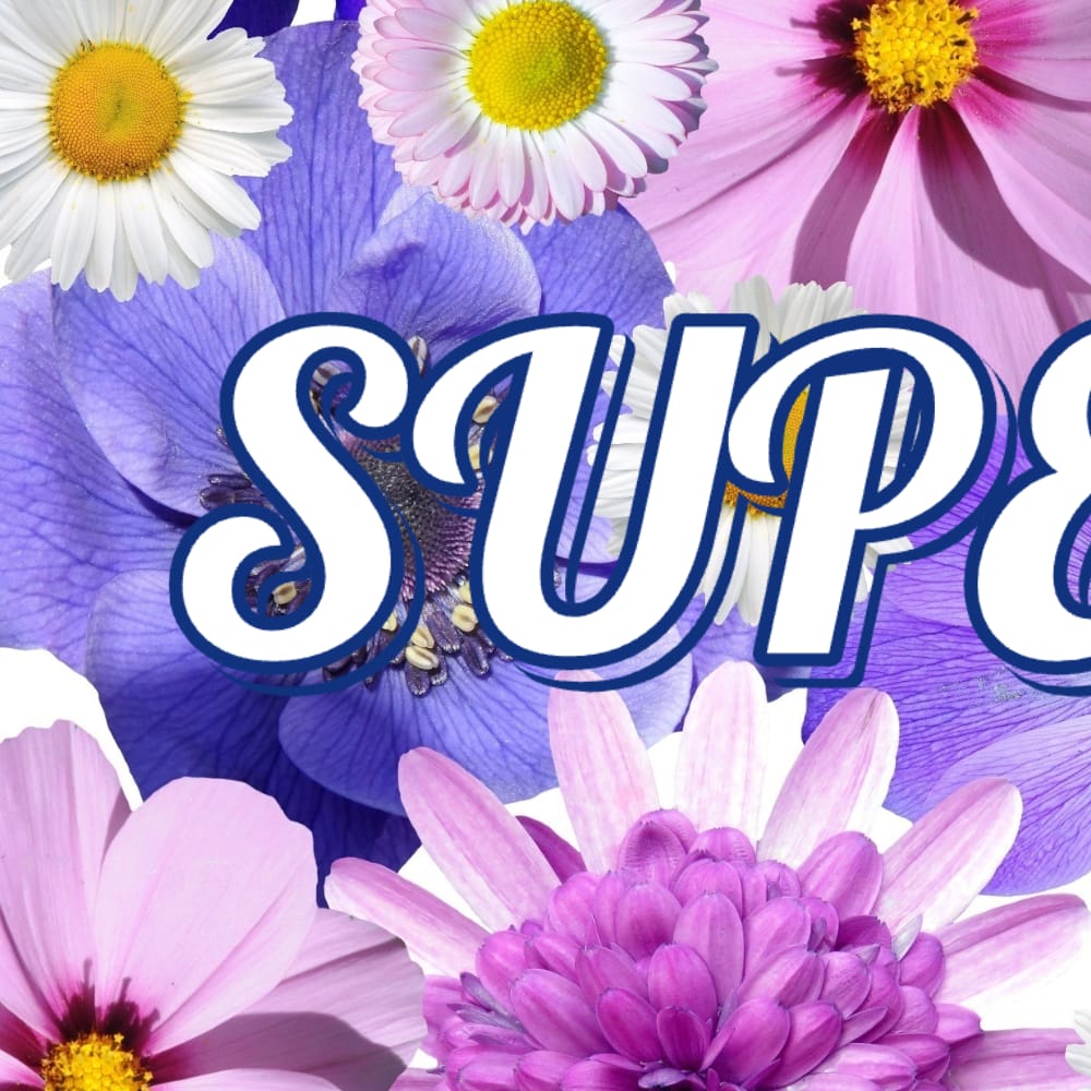 Foto aktivitas terbaru Super Junior