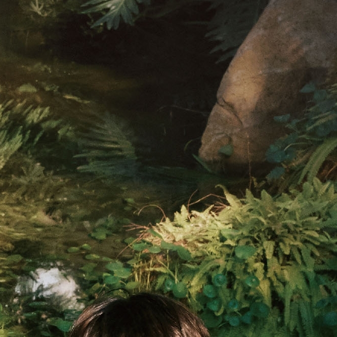 Behind-the-scenes cut of Seoho (ONEUS)