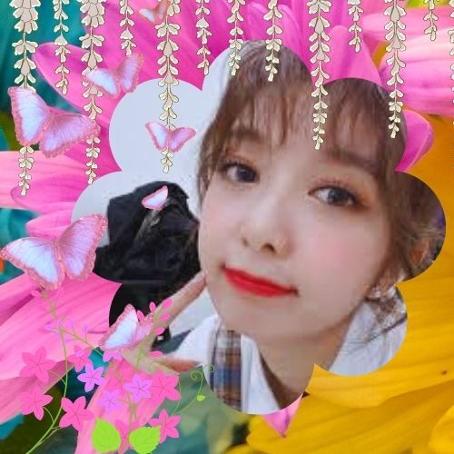 다미 (드림캐쳐) 팬이 찍은 순간