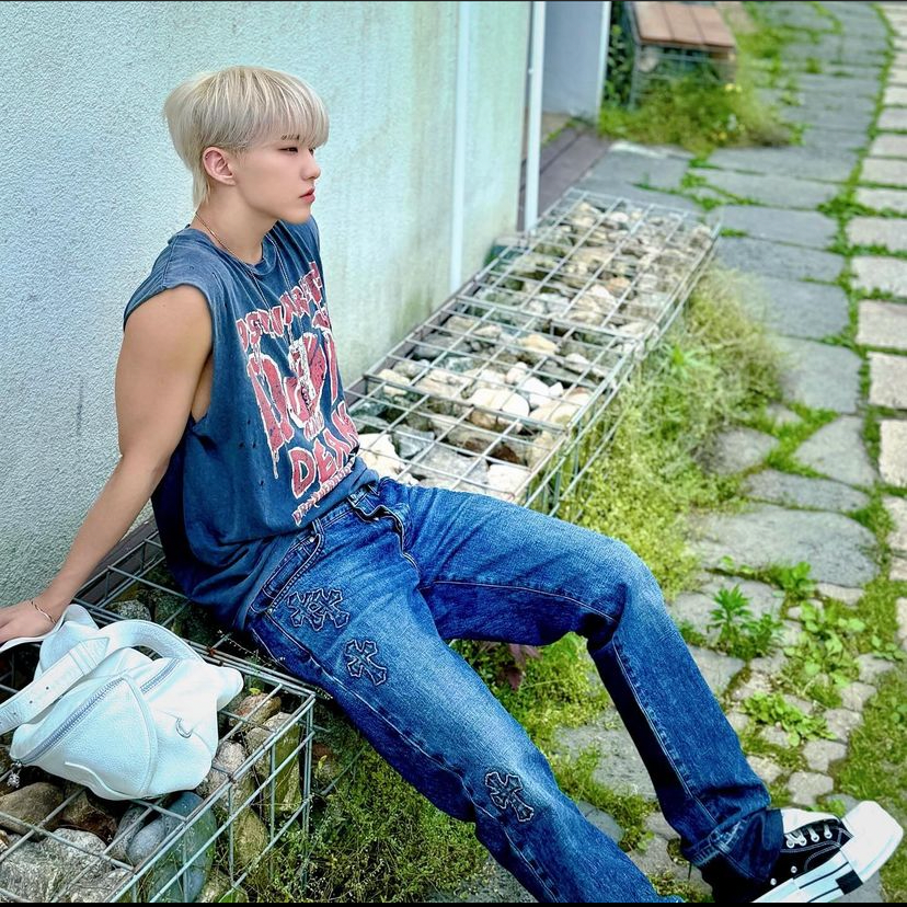 A moment captured by Hoshi (SEVENTEEN)'s fan