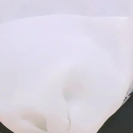 A moment captured by Arin (OH MY GIRL)'s fan