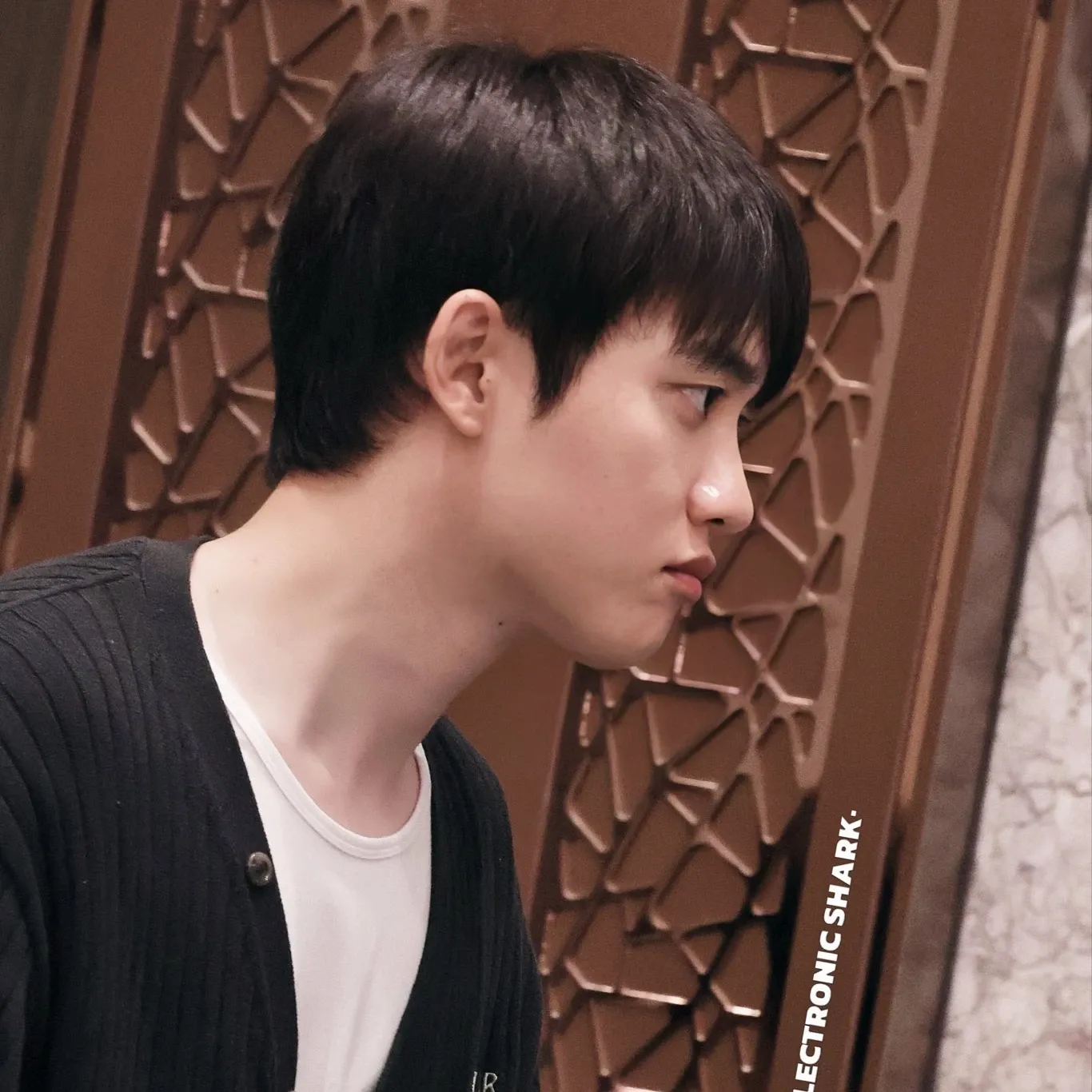디오 (EXO) 팬이 찍은 순간