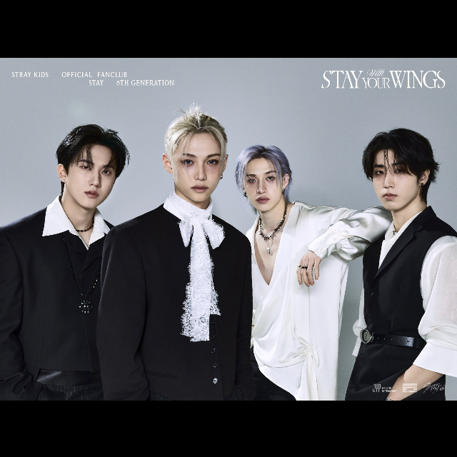 Stray Kids 최근 활동샷