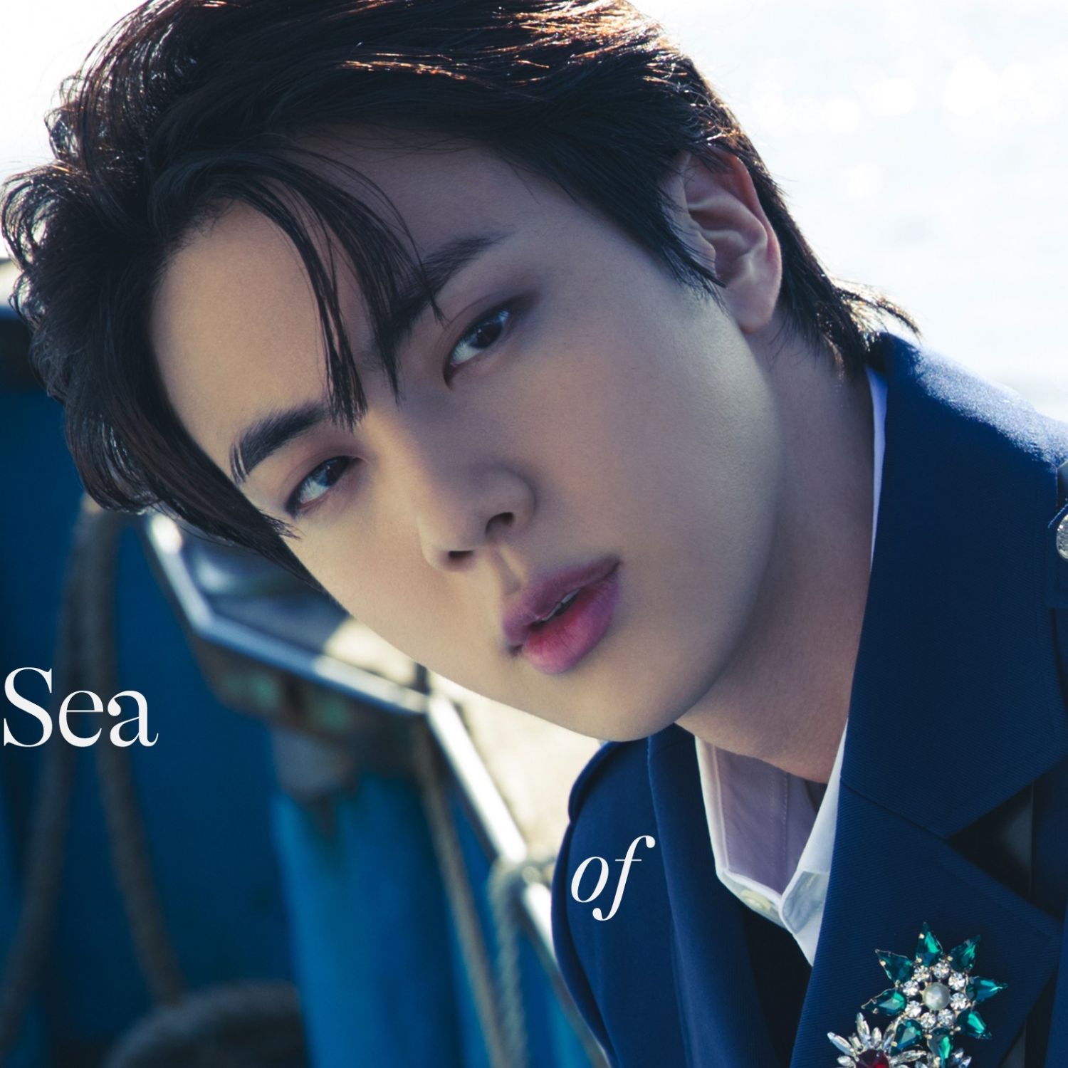 A moment captured by Jin (BTS)'s fan