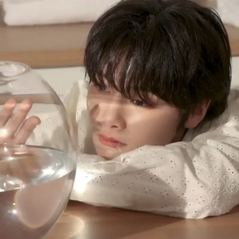 Stray Kids 최근 활동샷