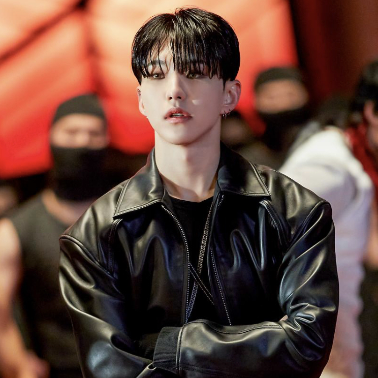 A moment captured by Hoshi (SEVENTEEN)'s fan