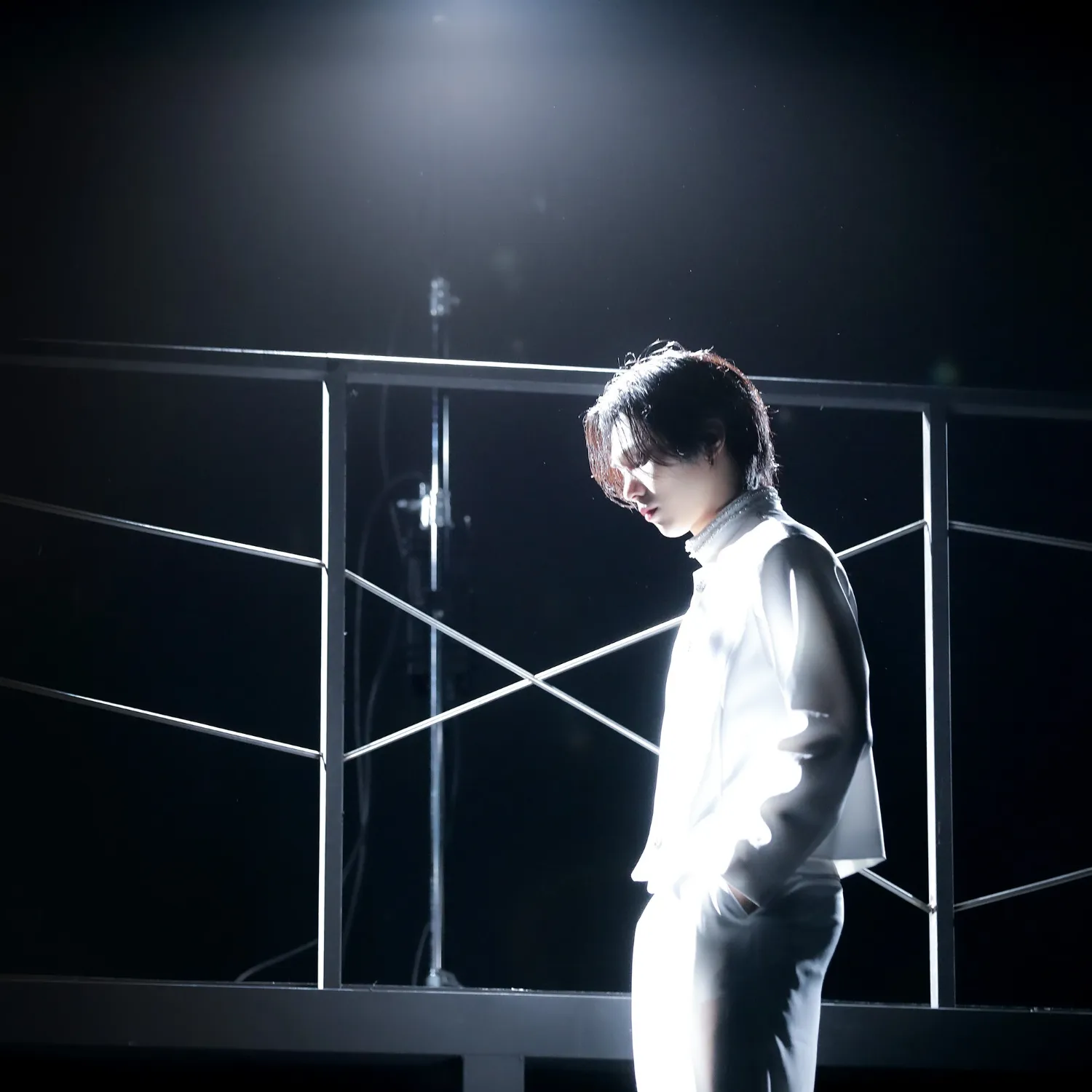 Recent activity shot of Rocky