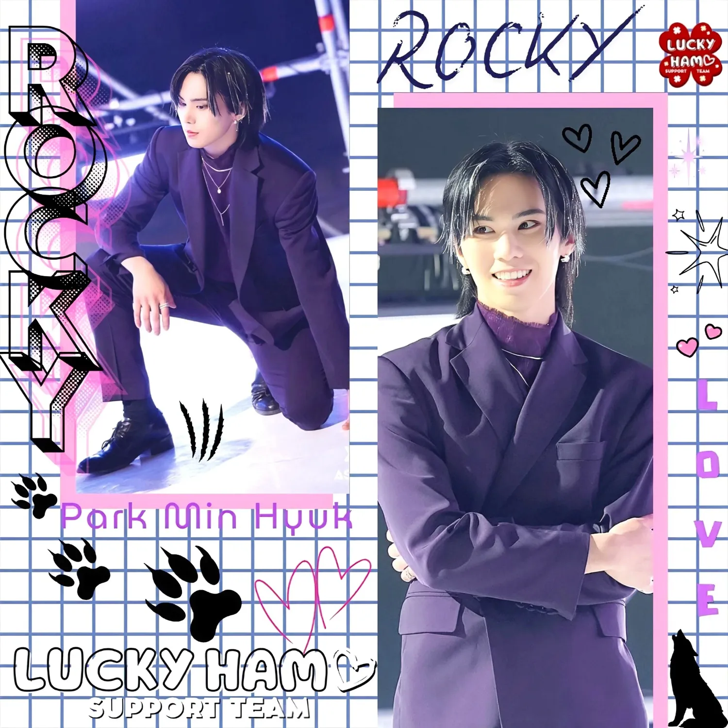 Recent activity shot of Rocky