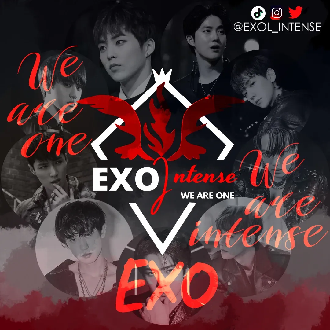 EXO 팬이 찍은 순간