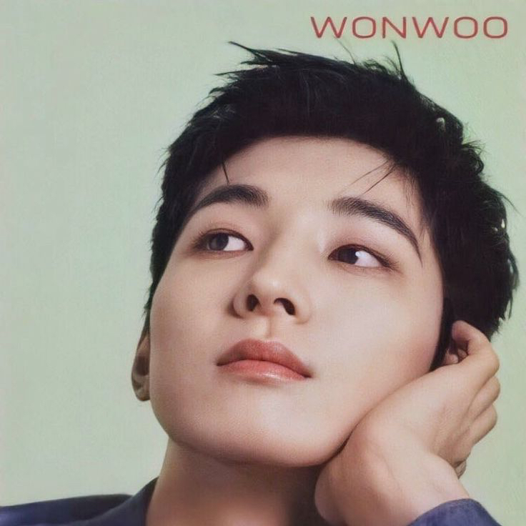 Recent activity shot of Wonwoo (SEVENTEEN)