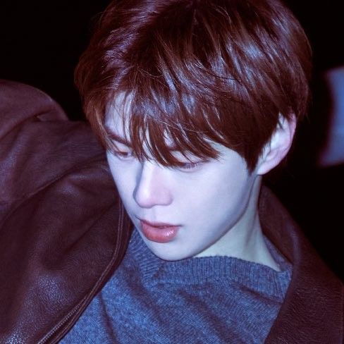 Momen yang diabadikan oleh penggemar Kang Daniel