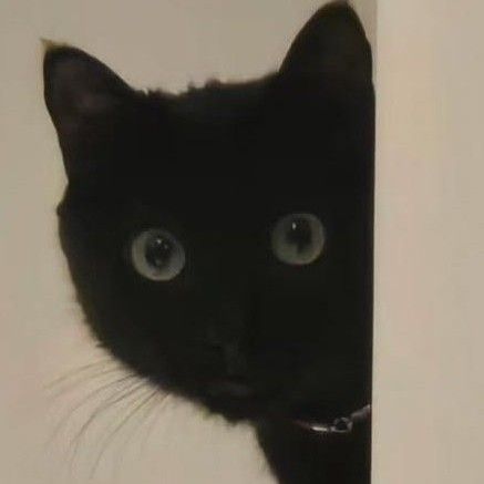 SUGA (防彈少年團)粉絲拍下的瞬間