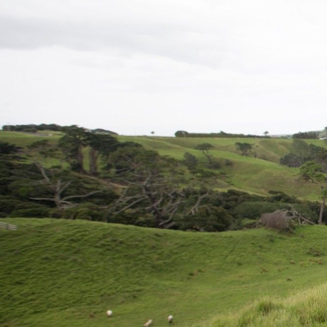 A moment captured by Solar (MAMAMOO)'s fan