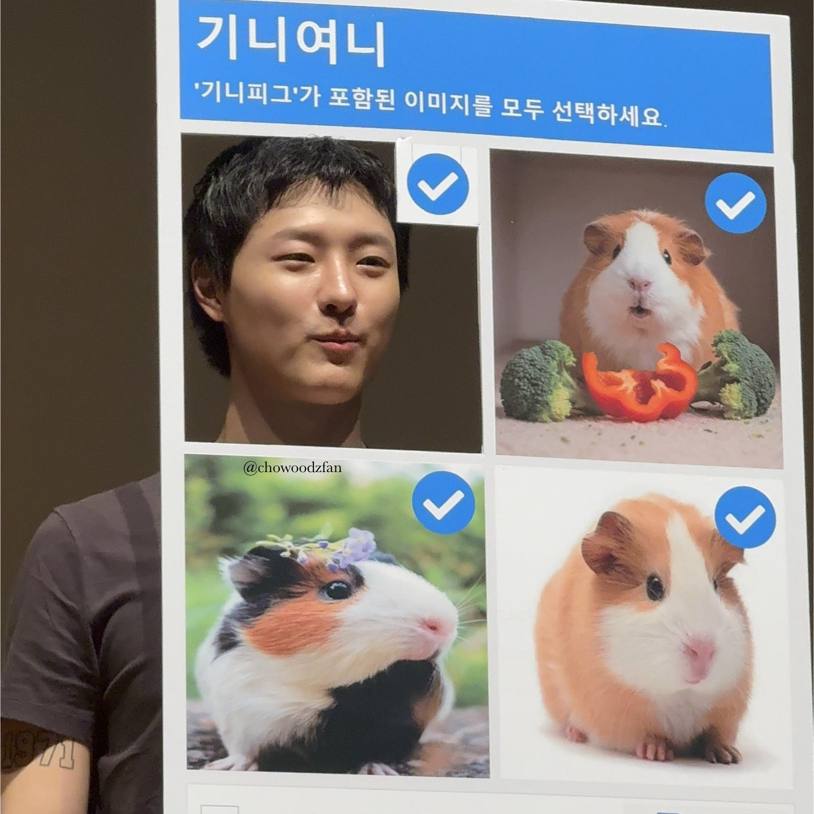 Behind-the-scenes cut of WOODZ