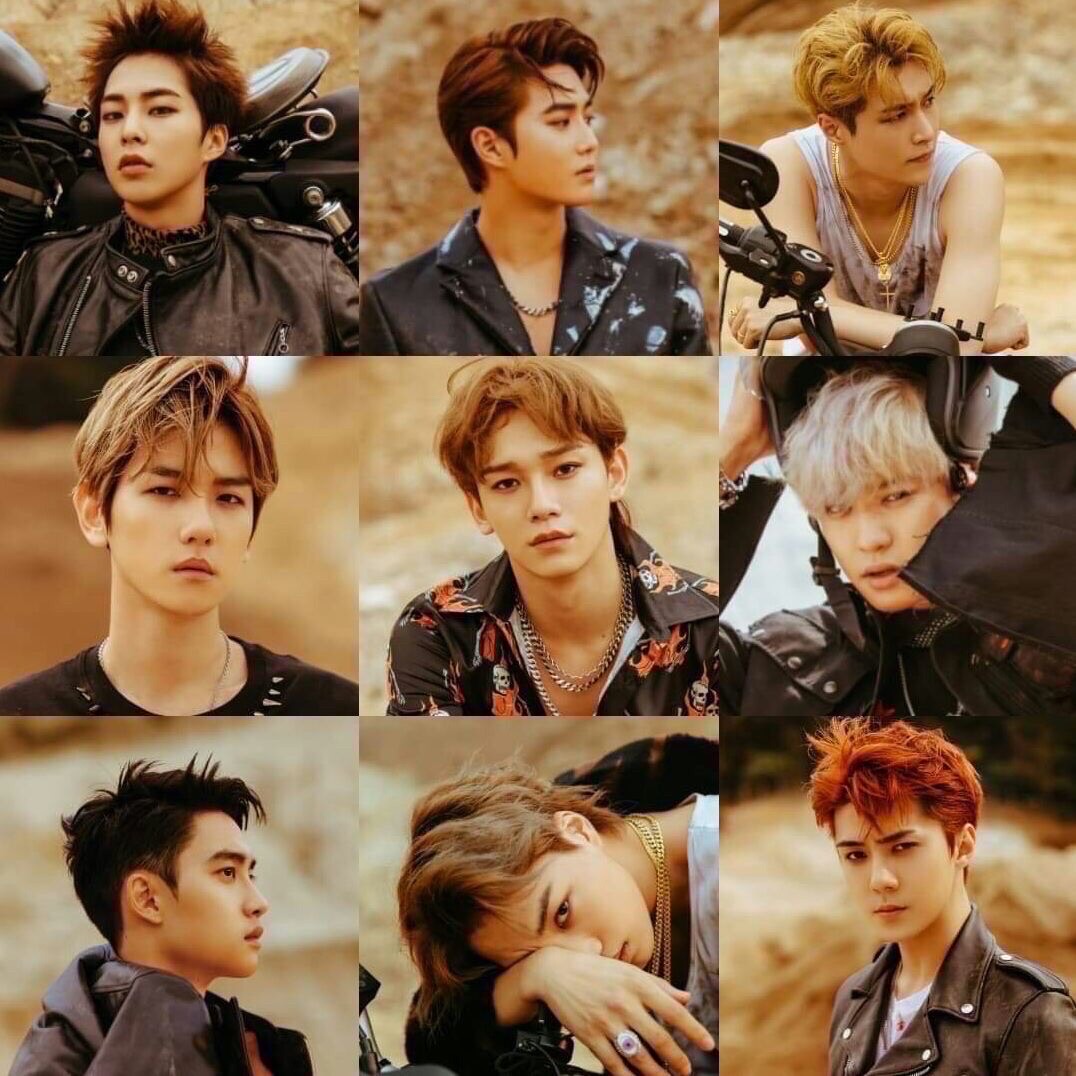 Hot post catching attention from EXO's fandom