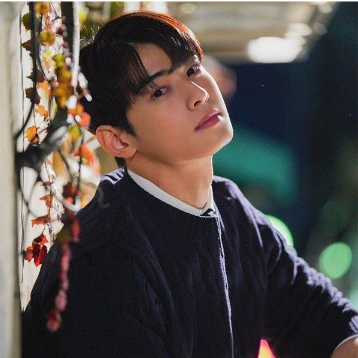 Momen yang diabadikan oleh penggemar ASTRO