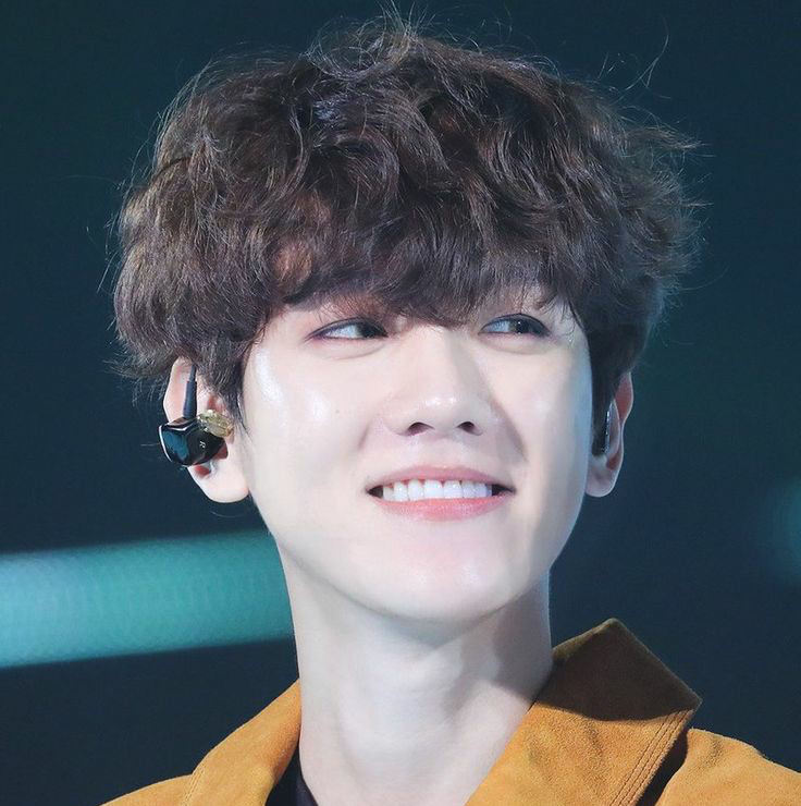 伯賢 (EXO)的最新照片