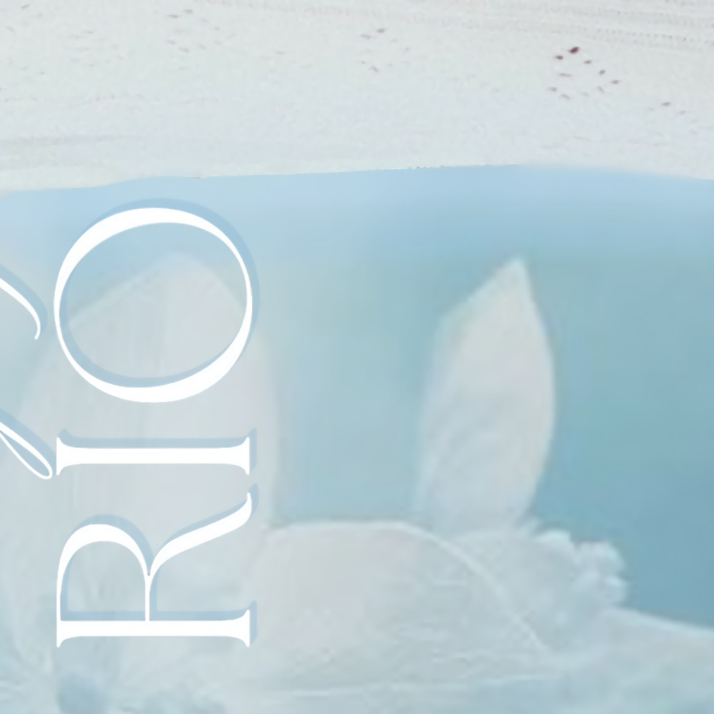 A moment captured by Rio (NiziU)'s fan