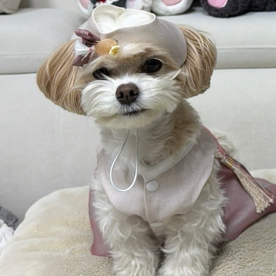 燦烈 (EXO)粉絲拍下的瞬間