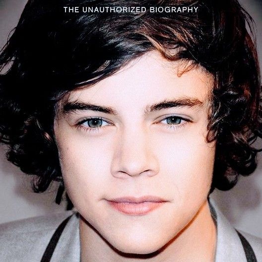 A moment captured by Harry Styles's fan