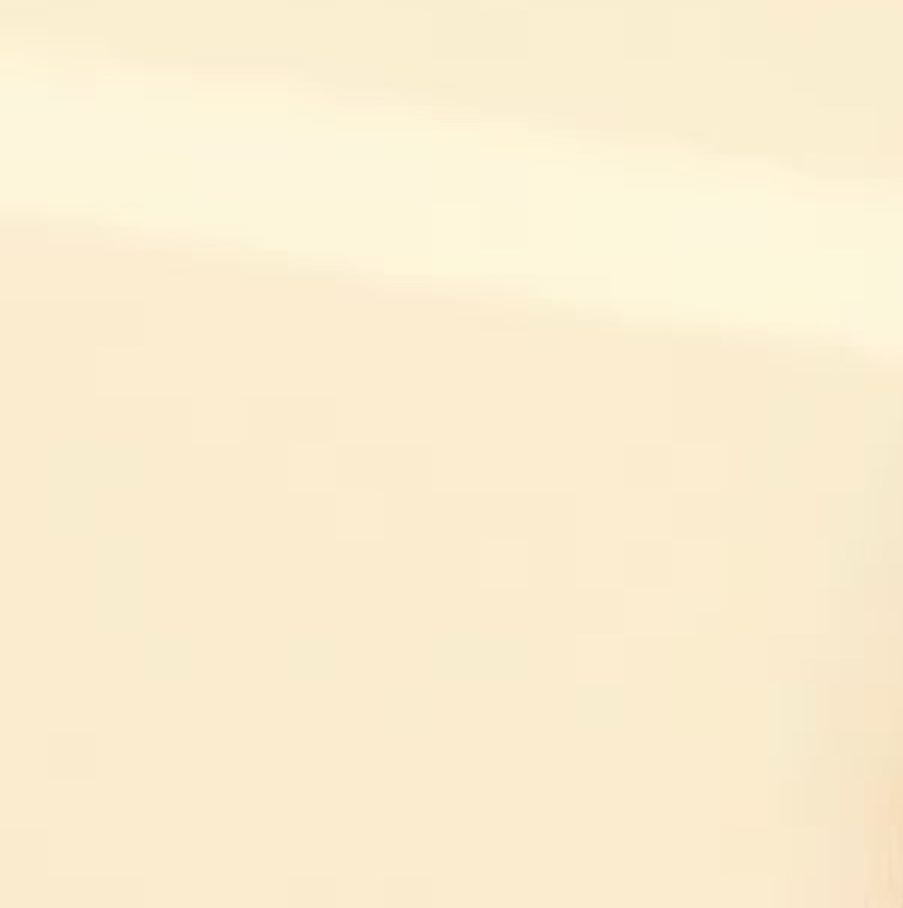 A moment captured by Choerry (ARTMS)'s fan