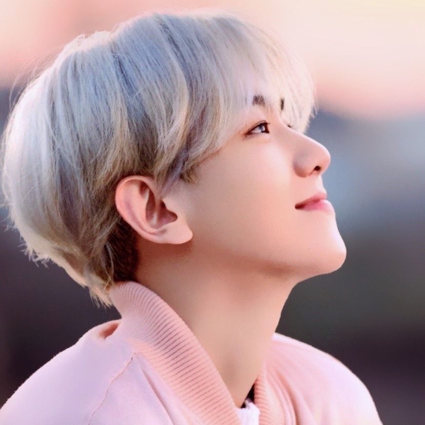 伯賢 (EXO)粉絲拍下的瞬間