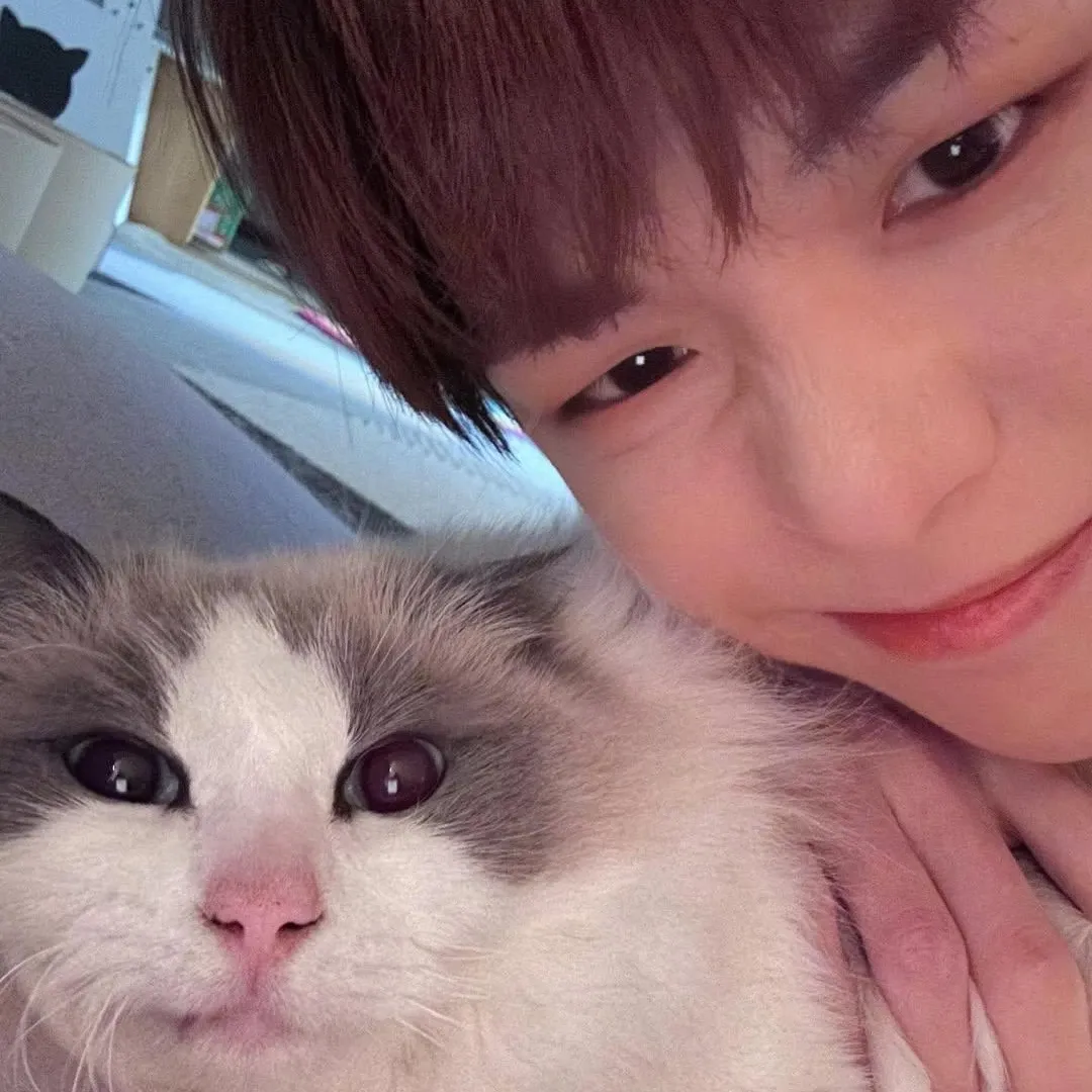 Potret di balik layar Kang Daniel